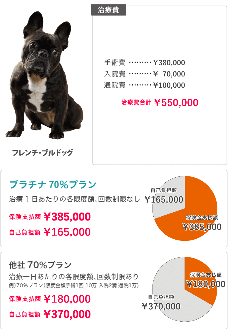 フレンチ ブルドッグの保険