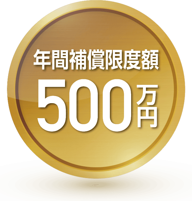 年間補償限度額500万円